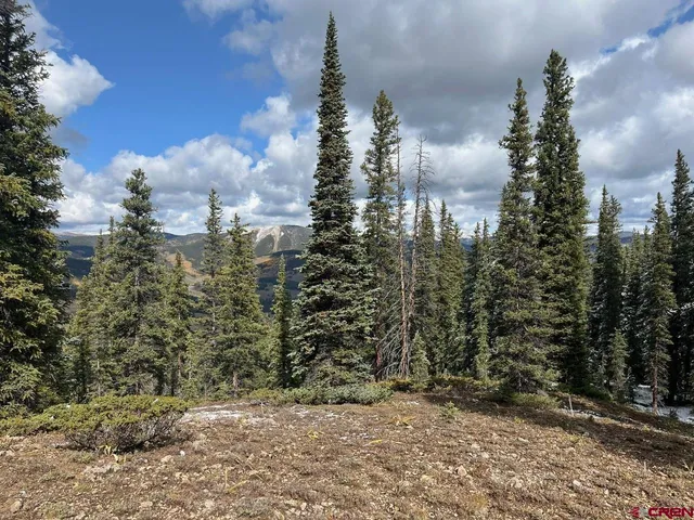 a view of a pathway both side of green space
