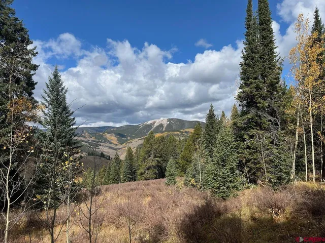 a view of a city with lush green forest