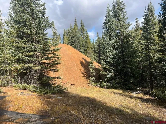 a view of a yard in a yard