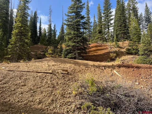 a view of a yard covered in snow