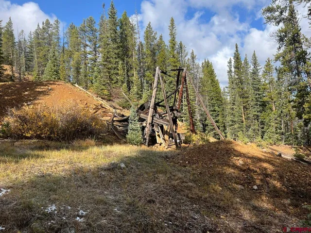a view of a yard with trees