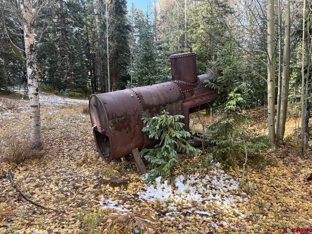a view of a backyard with plants and large trees