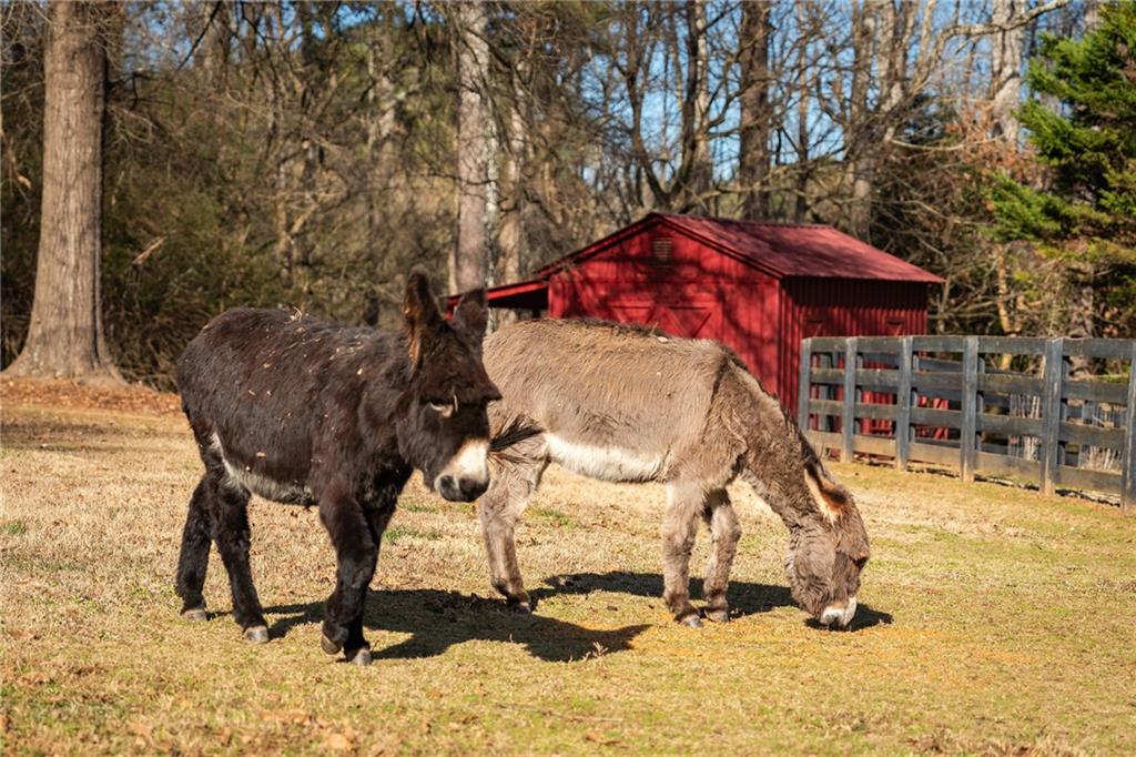 16035 Westbrook Road Milton, GA 30004 - Photo 91 of 117
