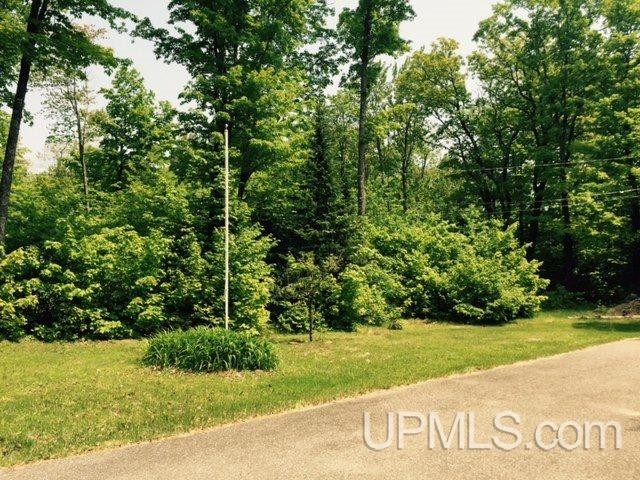 113 Morgan Meadows Road Marquette, MI 49855 - Photo 25 of 26 Gallery Image 25
