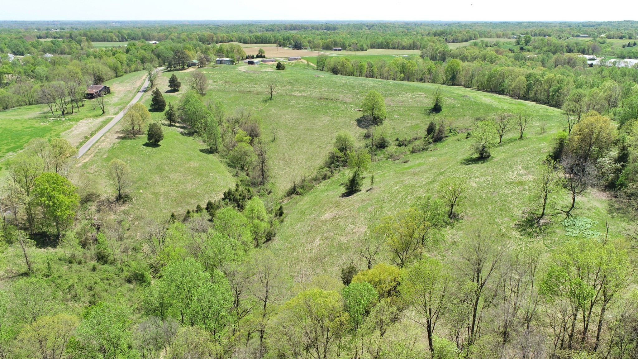 22 Wixtown Road Westmoreland, TN 37186 - Photo 3 of 7 a view of a lush green forest with lots of trees