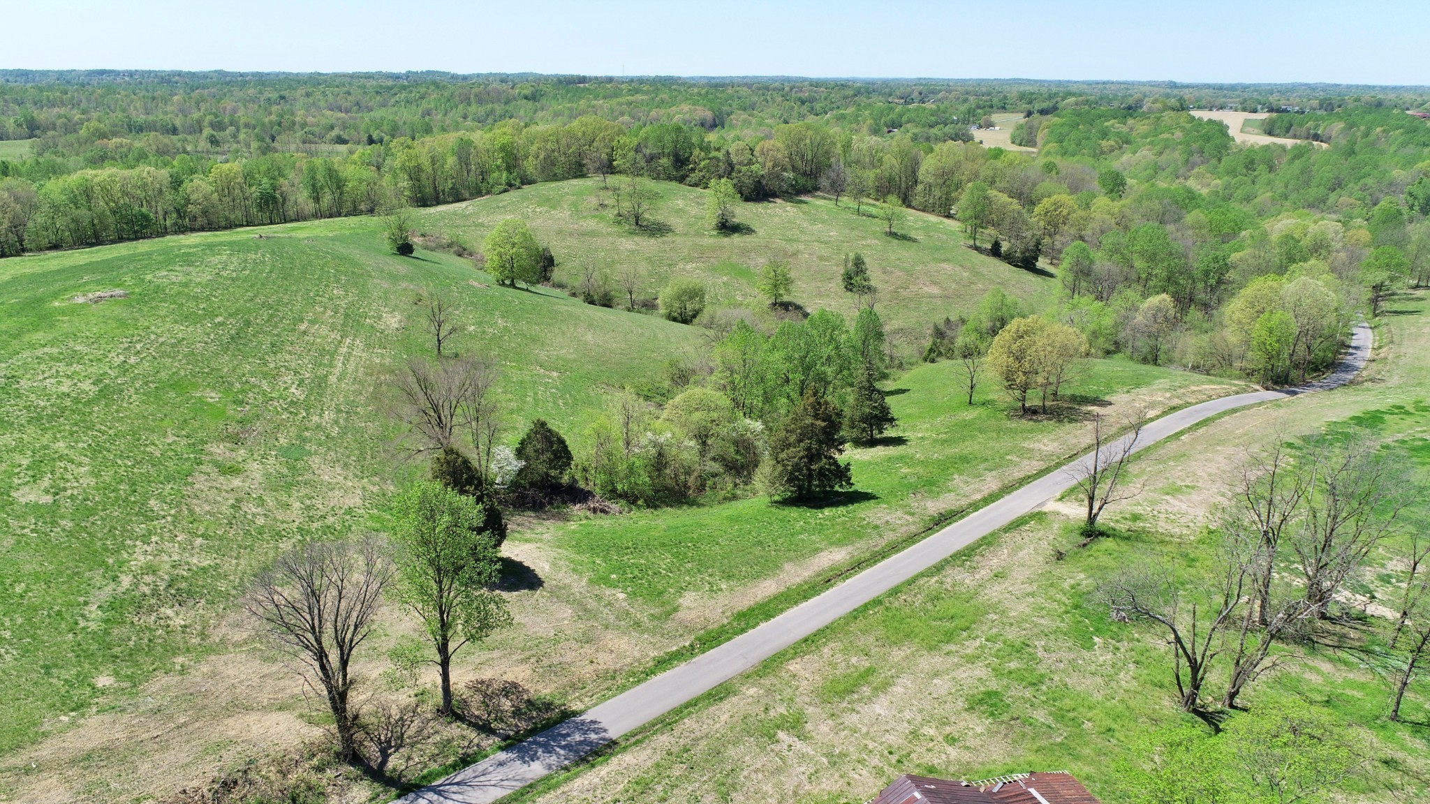22 Wixtown Road Westmoreland, TN 37186 - Photo 6 of 7 a view of a lush green forest with trees and some houses