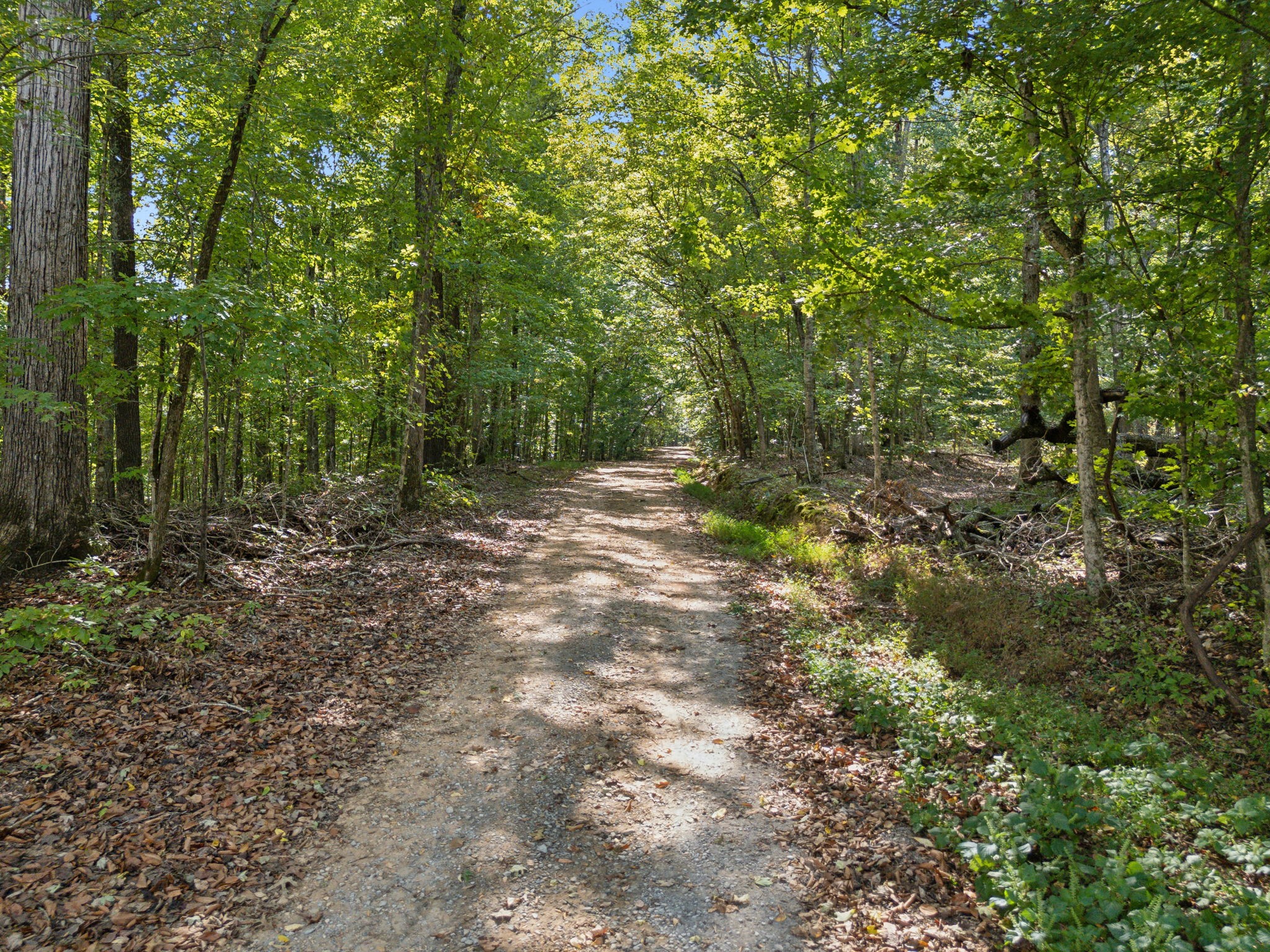 0 Danley Road East Charlotte, TN 37036 - Photo 1 of 6 Gallery Image 1