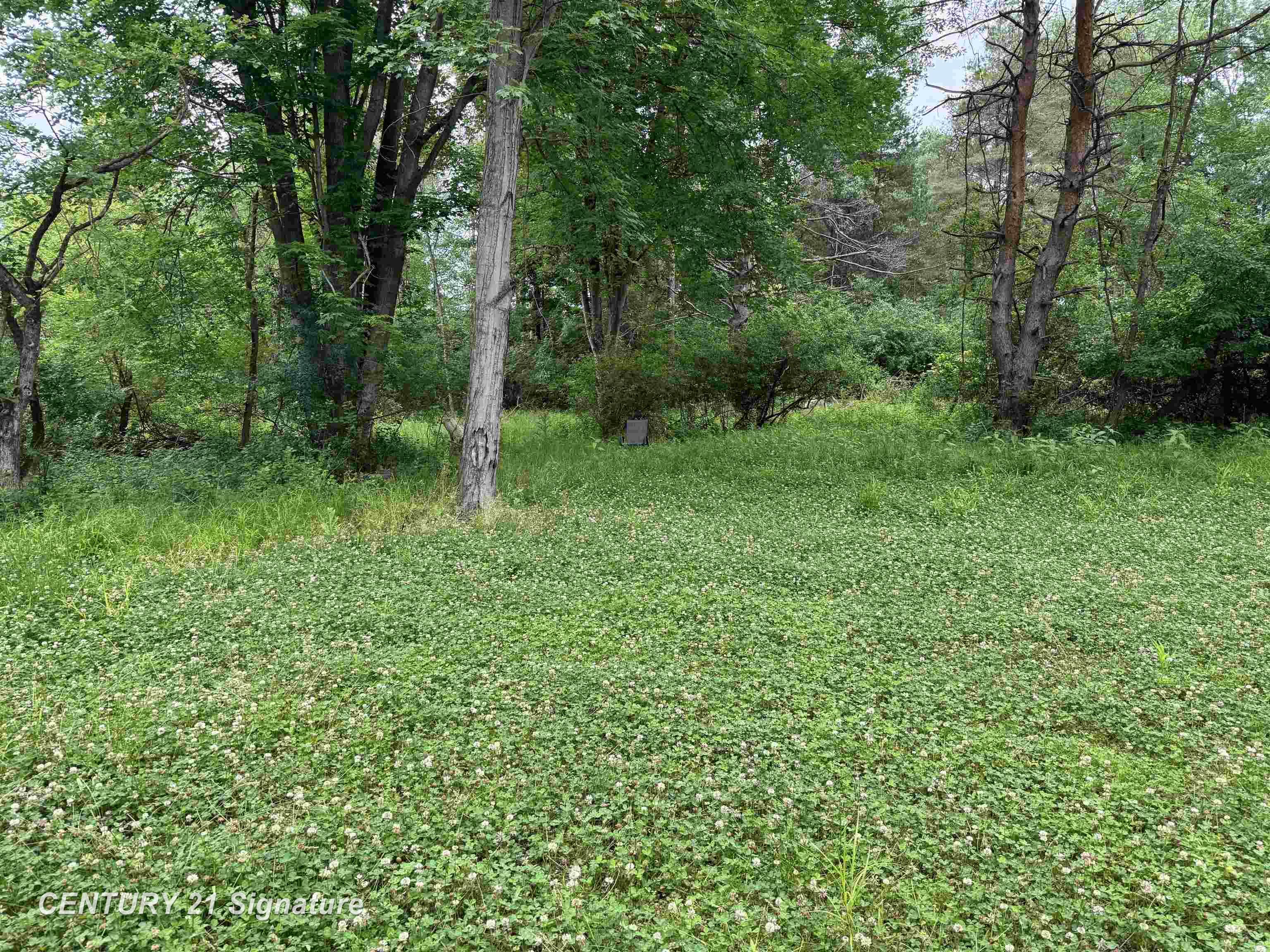 1948 East Chippewa River Road Midland, MI 48640 - Photo 8 of 9