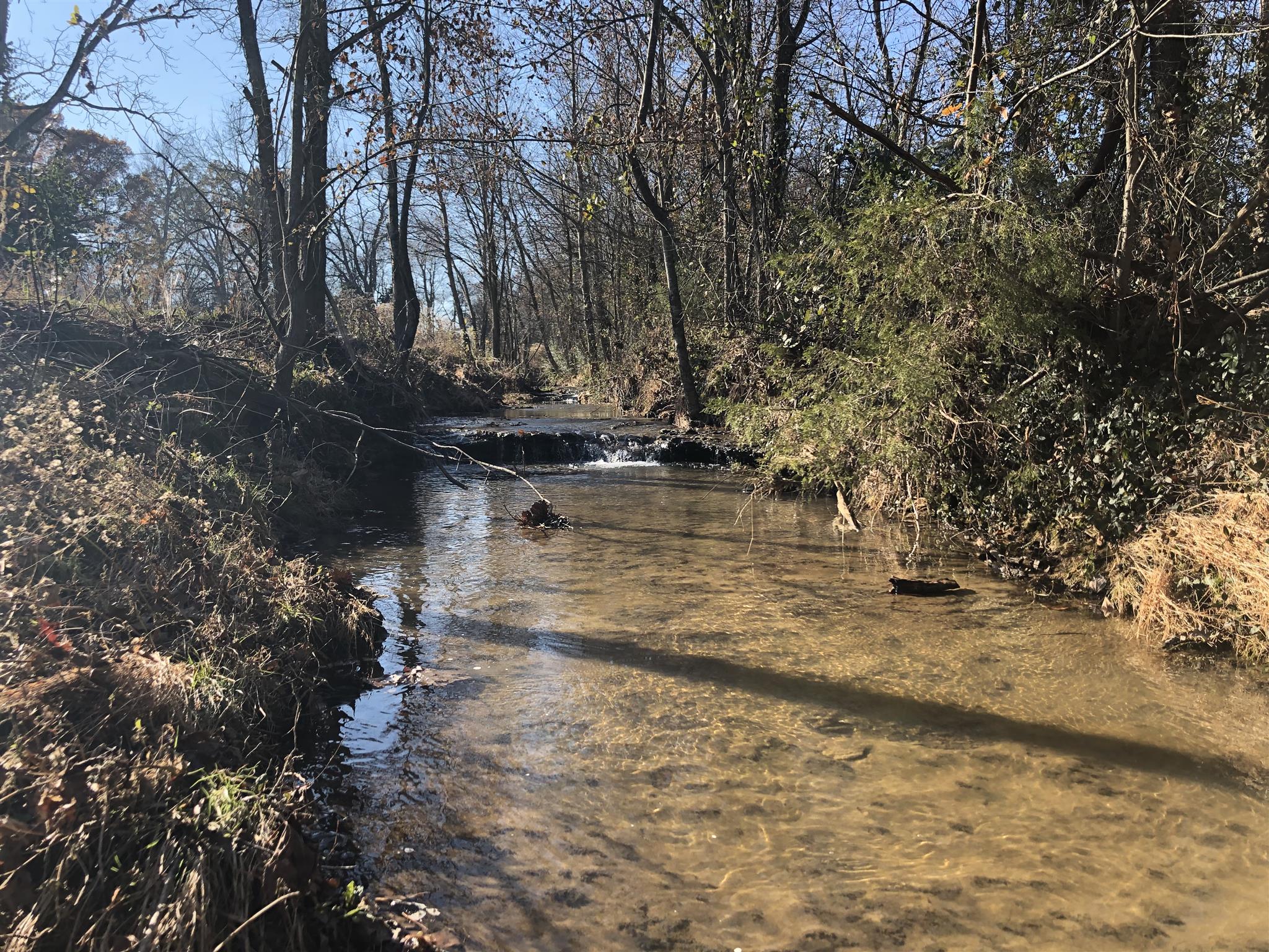 483 Halltown Road Portland, TN 37148 - Photo 5 of 10 Creek was recently cleared and waterfalls are peaceful.