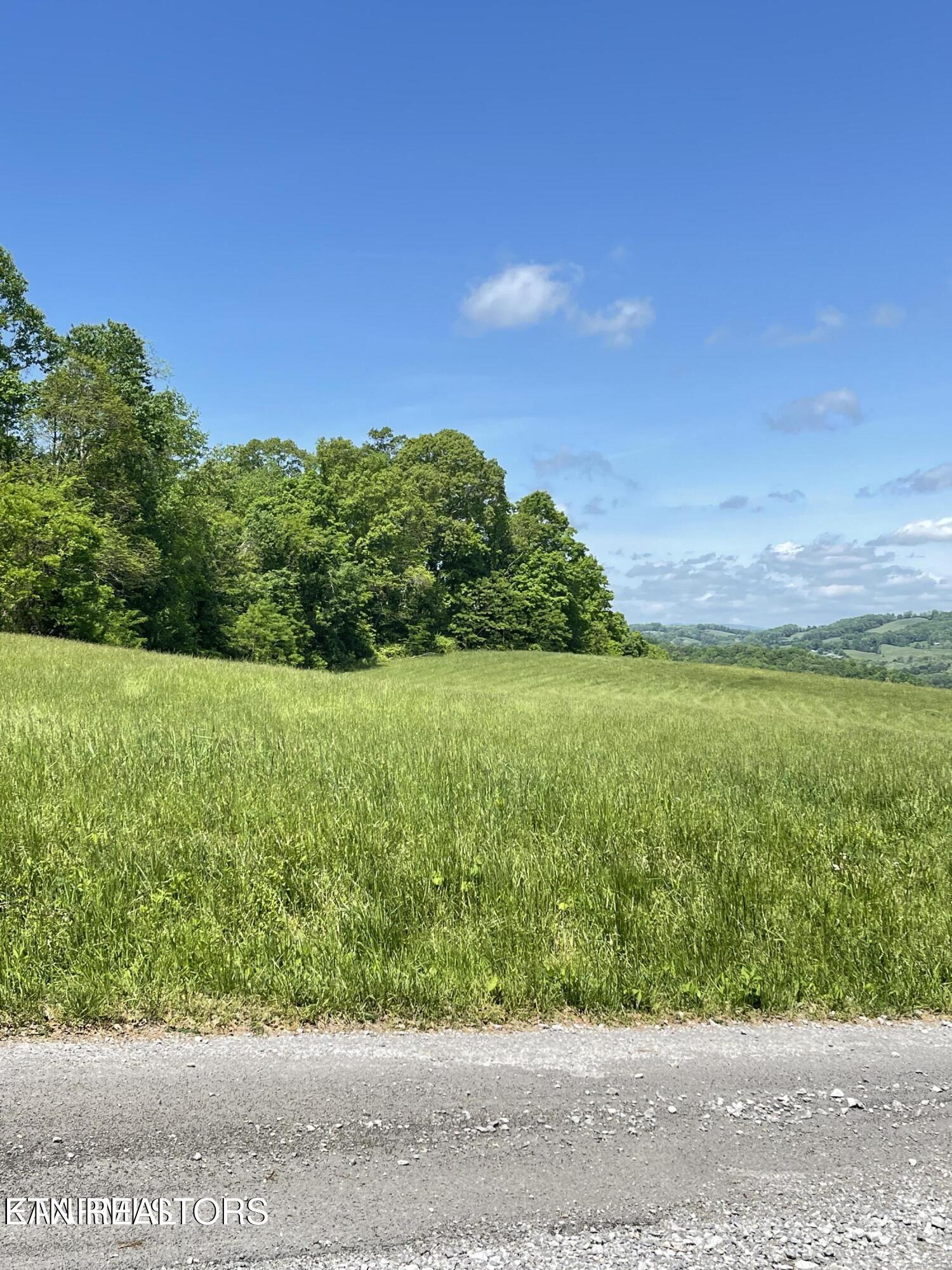 Bob Wright Road Maynardville, TN 37807 - Photo 11 of 15 lot 17 8