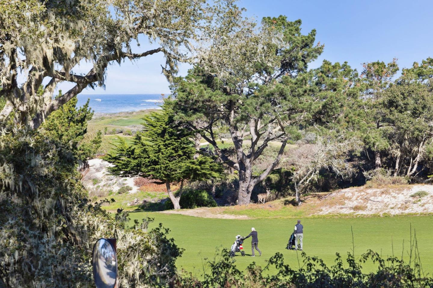 2933 Old 17 Mile Drive Pebble Beach, CA 93953 - Photo 5 of 19 a view of a lake with a yard
