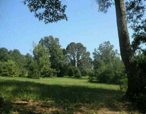0 Landrum Road Colfax, LA 71417 - Photo 1 of 3 Gallery Image 1