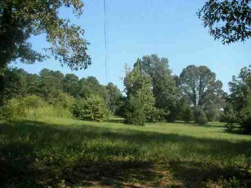 0 Landrum Road Colfax, LA 71417 - Photo 2 of 3 Gallery Image 2