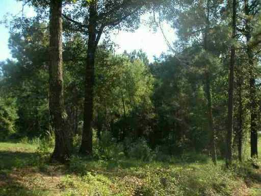 0 Landrum Road Colfax, LA 71417 - Photo 3 of 3 Gallery Image 3
