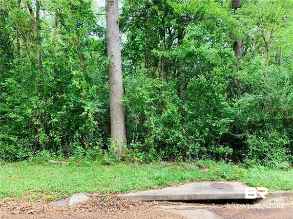 $17,250 | 7650 Avenue C, Mobile, AL 36608