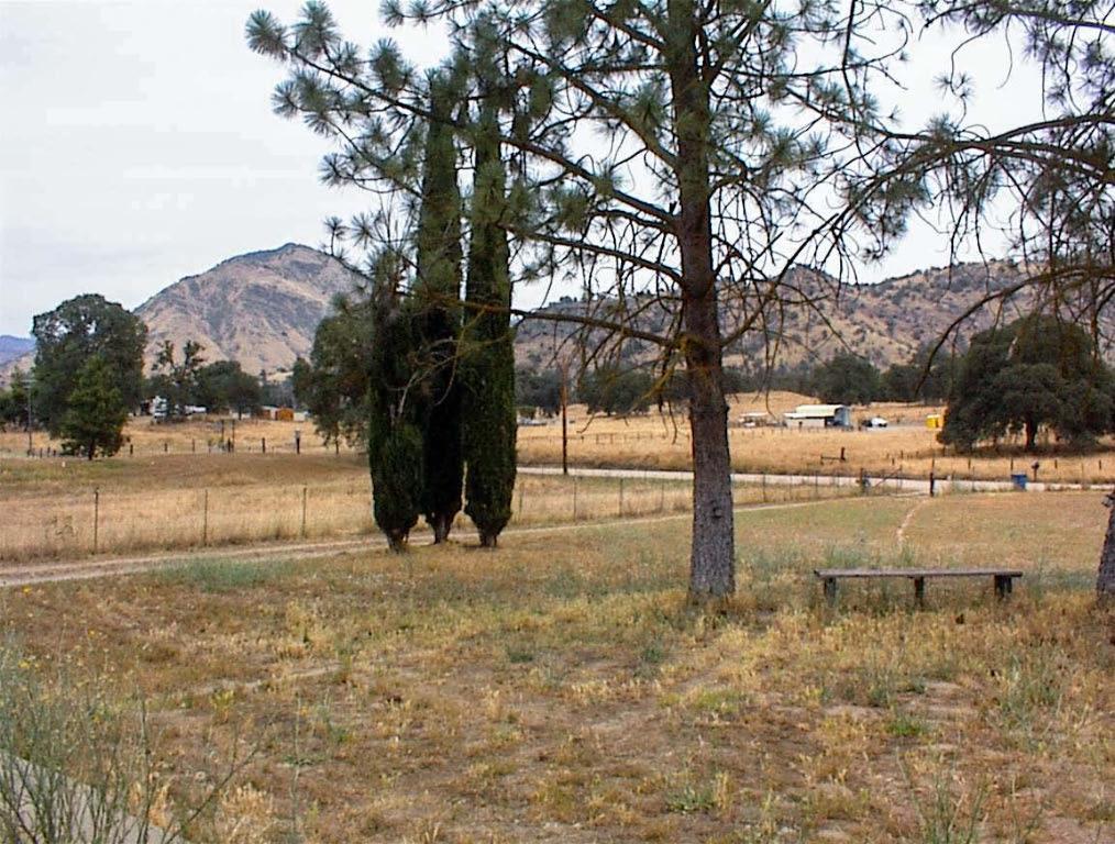 32351 Indian Guide Road Squaw Valley, CA 93675 - Photo 32 of 35