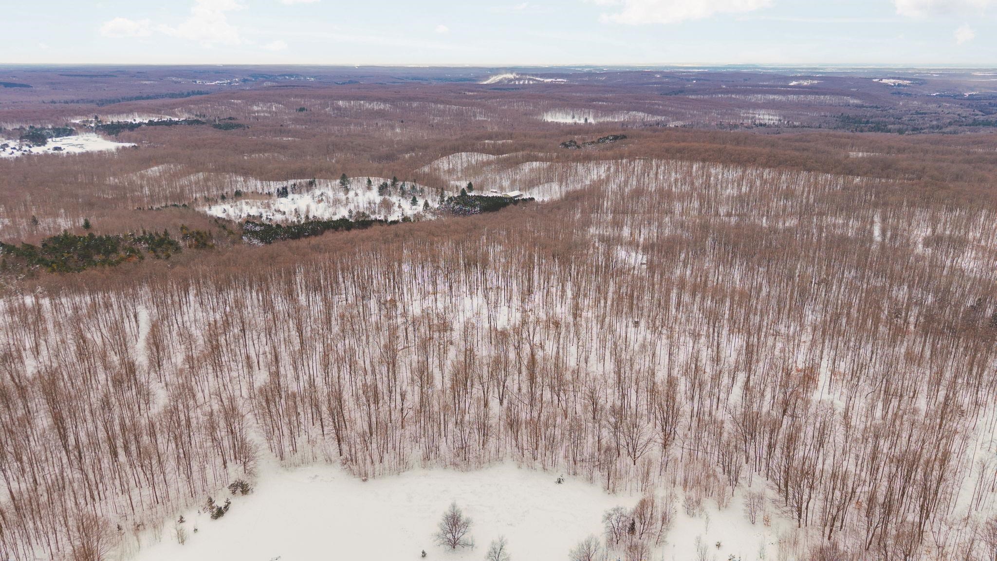 0 Stark Road, Unit LOT: 17 Mancelona, MI 49659 - Photo 11 of 22