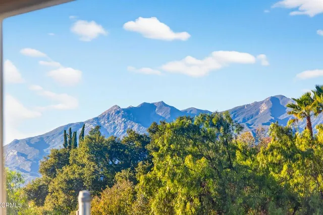 a view of a bunch of trees and bushes