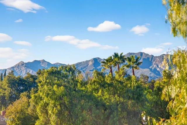 a view of a bunch of trees