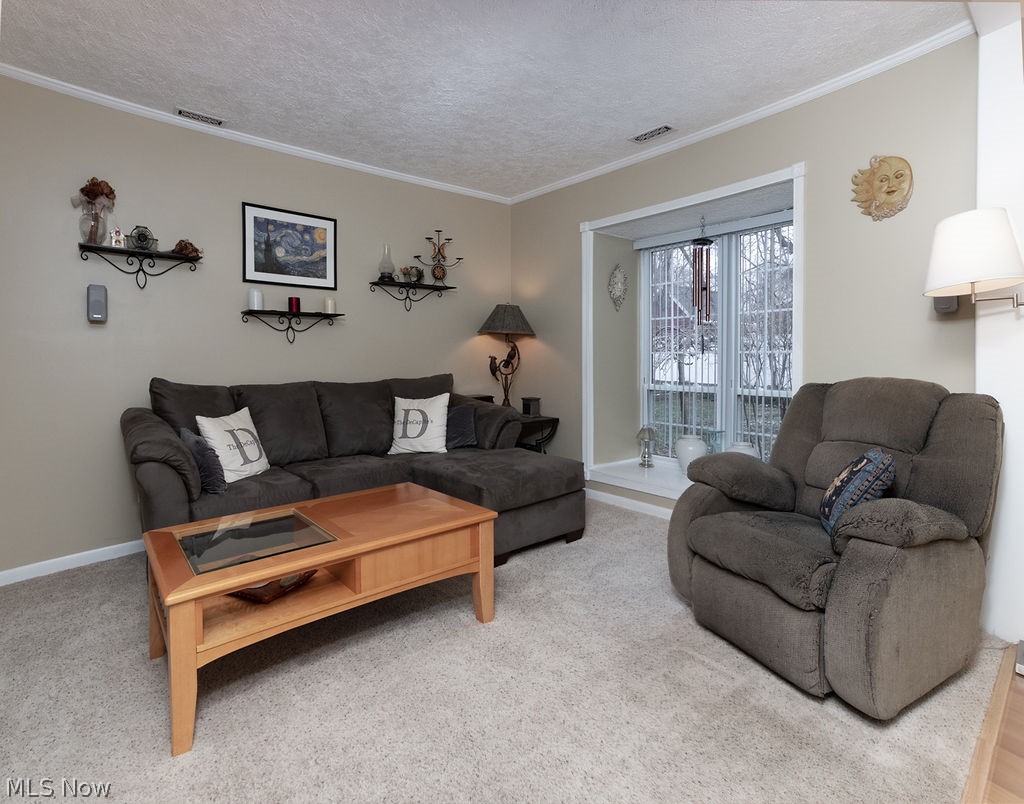 7373 Fox Mill Road, Unit D Mentor, OH 44060 - Photo 12 of 26 Deep Window Overlooks Green Area!