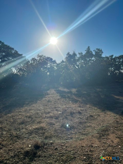 205 South Calvin Barrett Blanco, TX 78606 - Photo 3 of 7