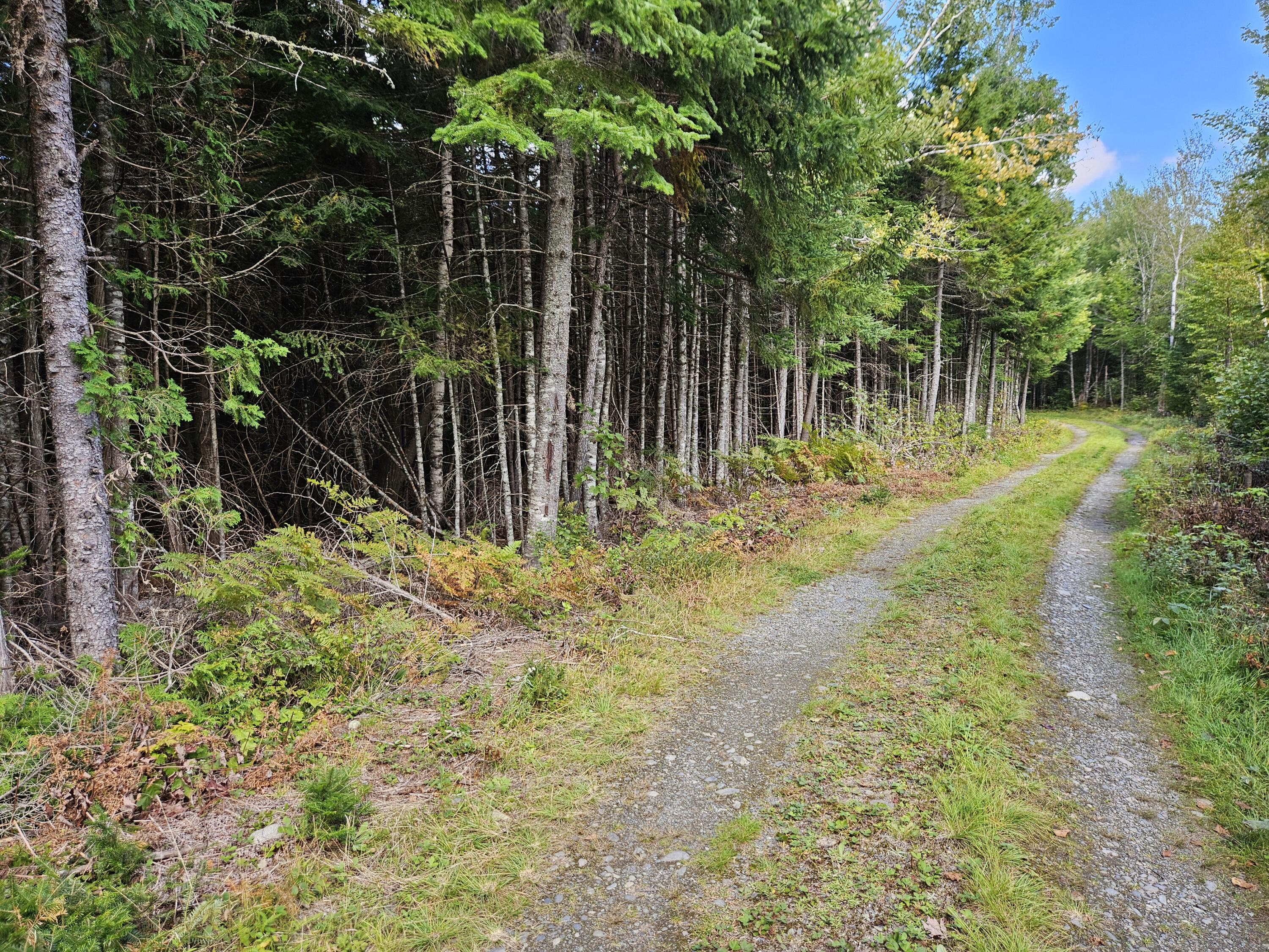 M7-l11-7 A Loon Club Road Monson, ME 04464 - Photo 8 of 28 20240901_125825