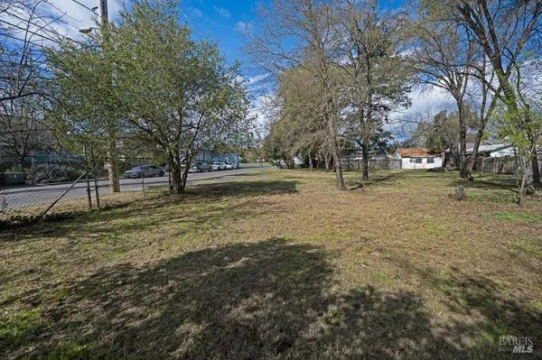 a view of yard with trees
