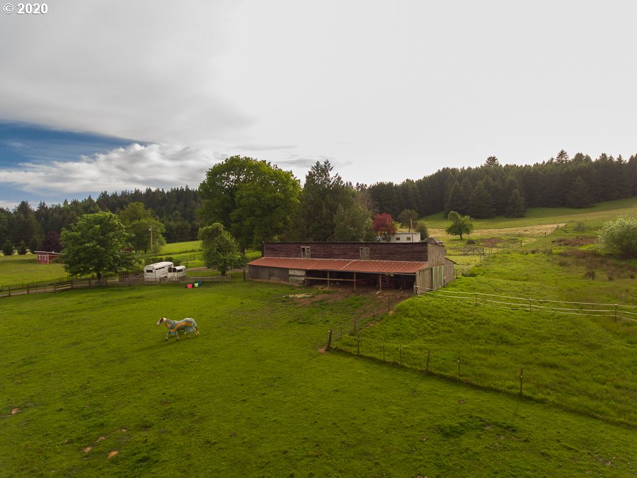89656 Demming Road Elmira, OR 97437 - Photo 3 of 27 Gallery Image 3
