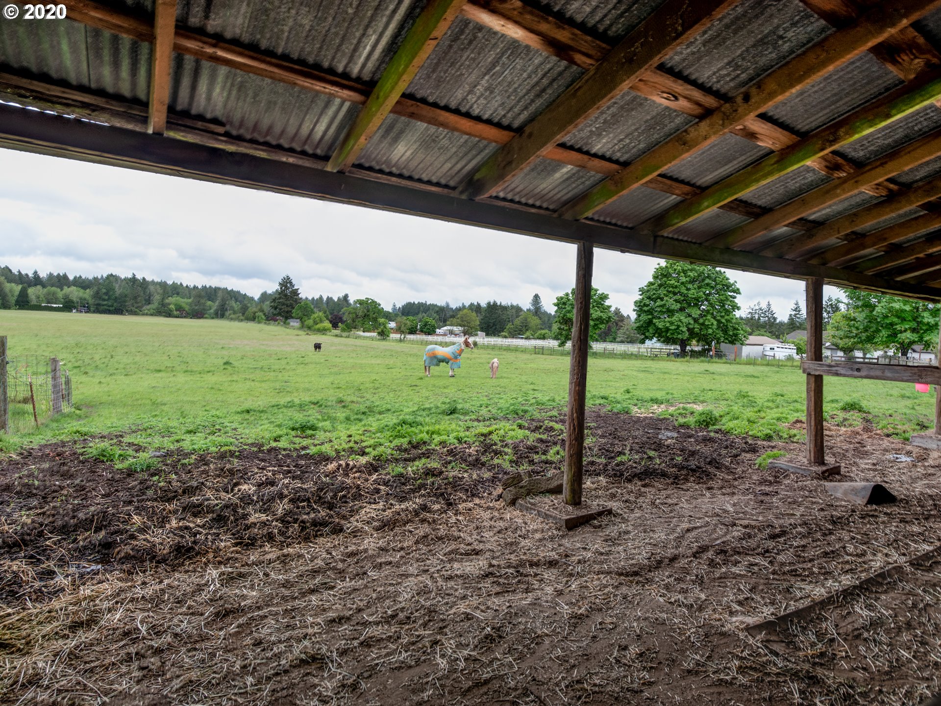 89656 Demming Road Elmira, OR 97437 - Photo 8 of 27 Gallery Image 8