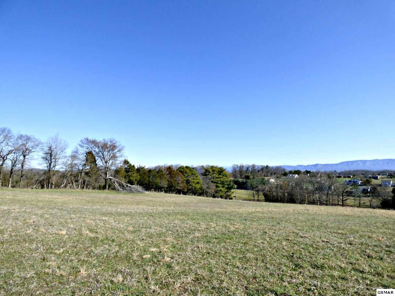 7 Valley Home Road Dandridge, TN 37725 - Photo 5 of 9 Gallery Image 5