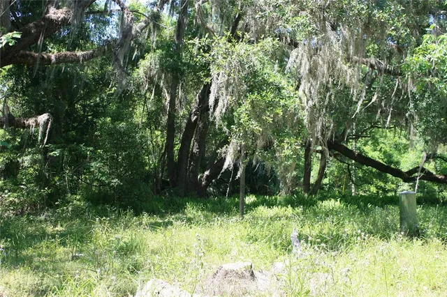 a view of outdoor space and green space