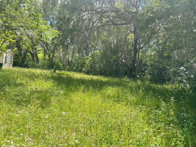 a view of outdoor space and trees