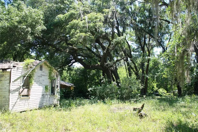a view of backyard with green space