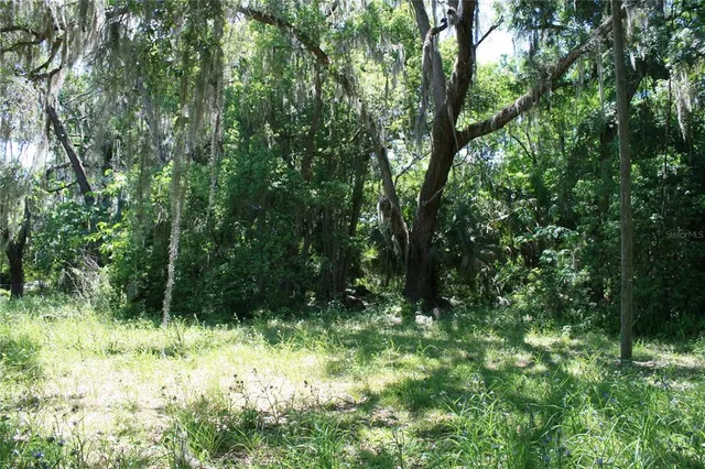 a view of outdoor space and green space