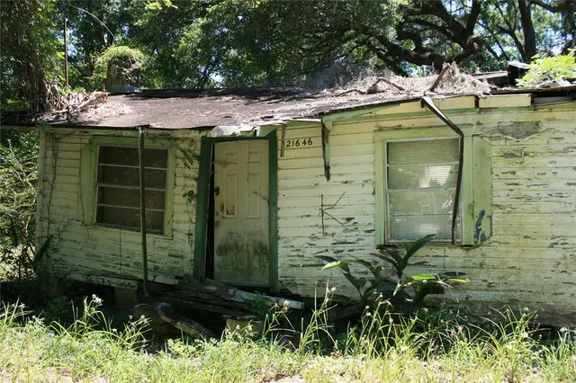 a view of a backyard