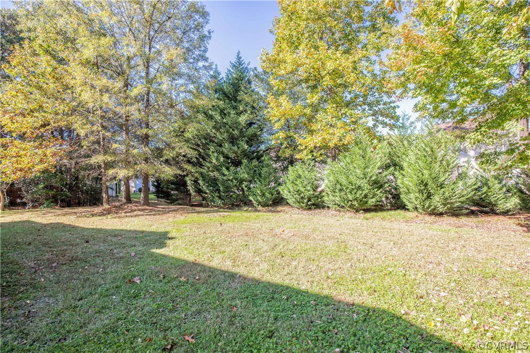 846 Club Ridge Terrace Chester, VA 23836 - Photo 24 of 35 a view of a yard with a tree