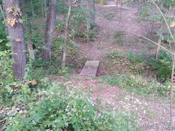 7577 Jerusalem Road Edwardsville, IL 62025 - Photo 22 of 24