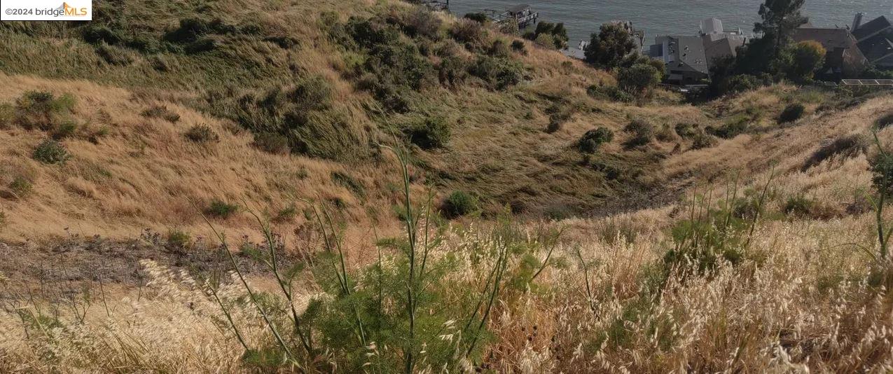 199 Sandy Beach Road Vallejo, CA 94590 - Photo 7 of 13 a view of a forest