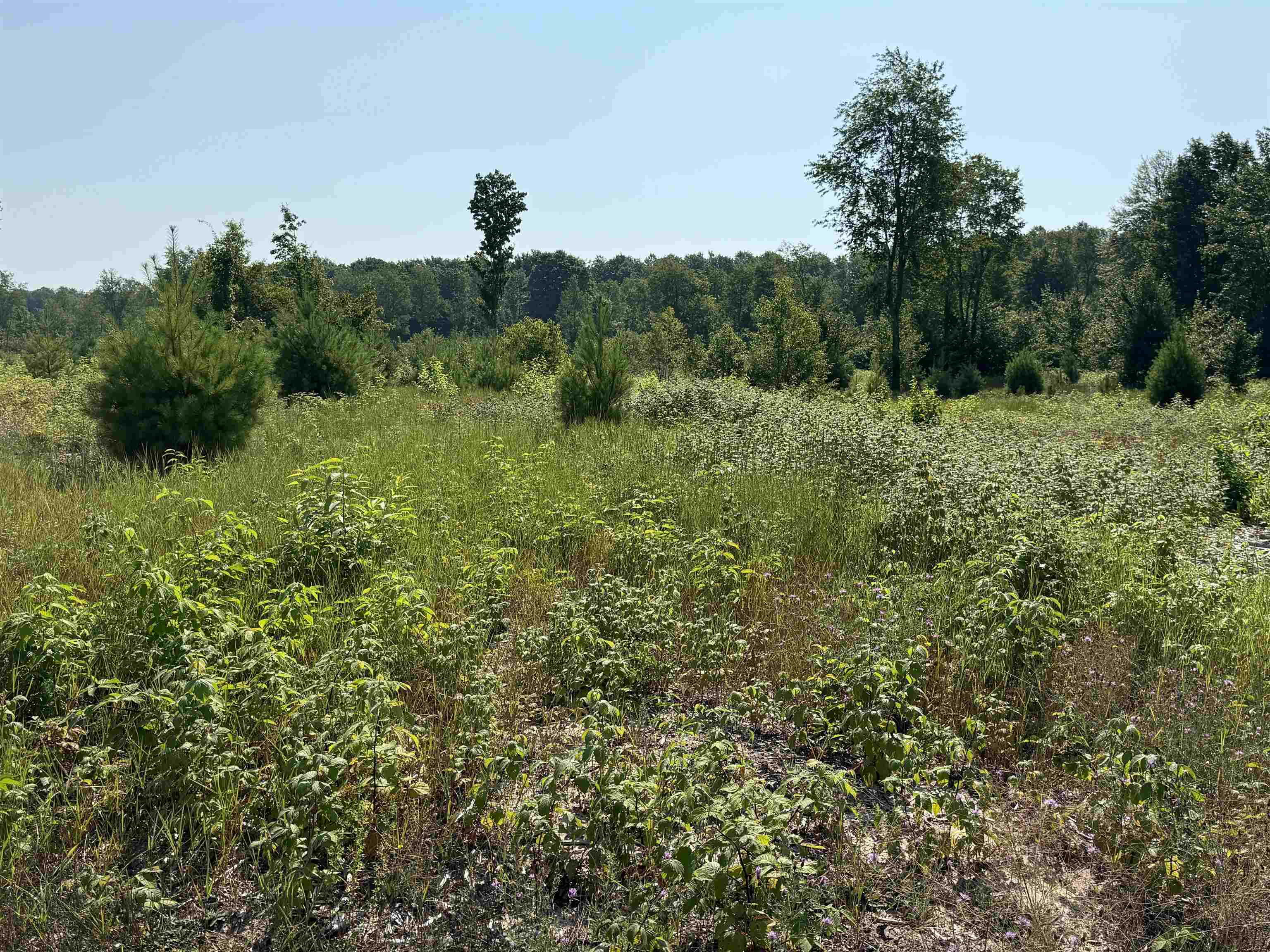 7 South Bright Road, Unit LOT: A7 Traverse City, MI 49684 - Photo 7 of 12