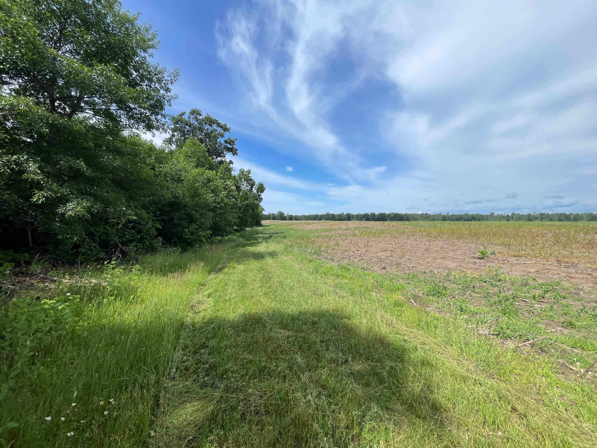 Tbd2 Boot Lake Road Southwest Bemidji, MN 56601 - Photo 21 of 54