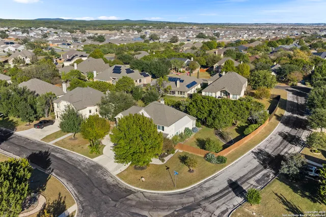 a view of a playground with a tree