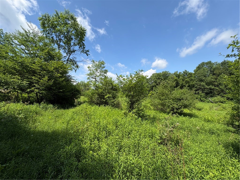 Stage Road South Otselic, NY 13155 - Photo 19 of 29