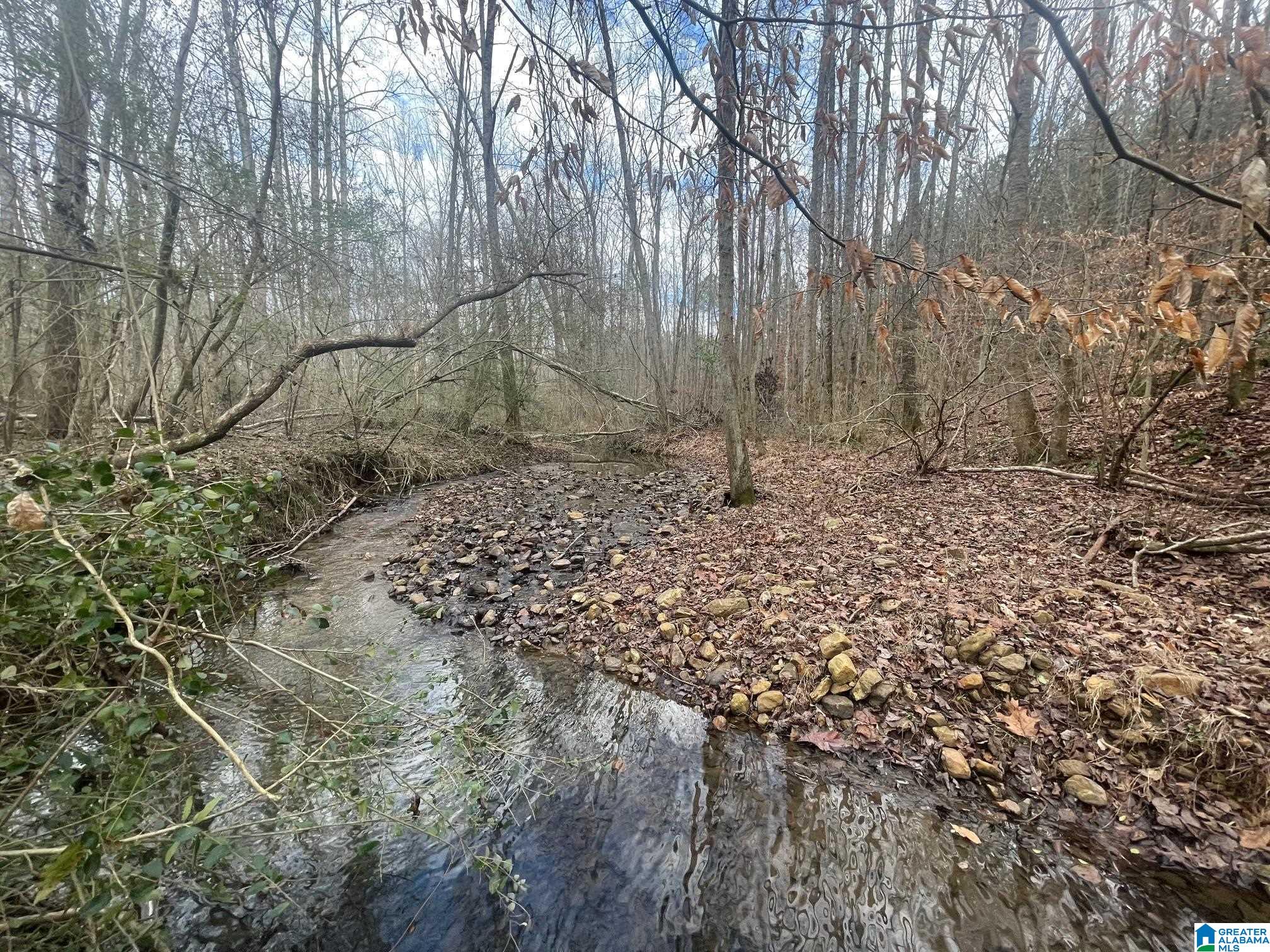 0 County Road 689, Unit 1 Ranburne, AL 36273 - Photo 8 of 69