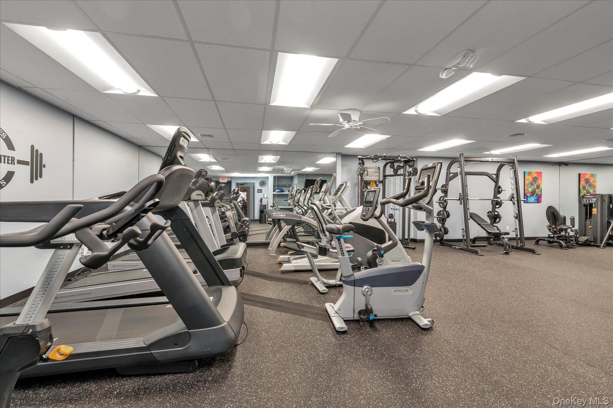 41 Spring Hollow Road Roslyn, NY 11576 - Photo 20 of 27 a view of a room with gym equipment