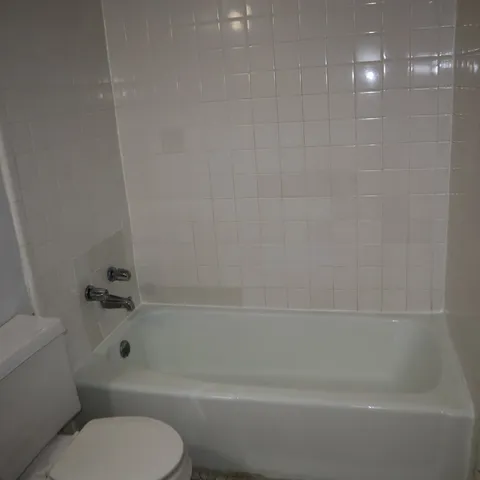 a bathroom with a toilet and a bathtub