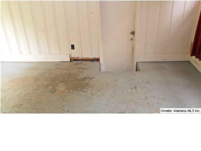 315 Mcgowan Road Wilsonville, AL 35186 - Photo 9 of 11