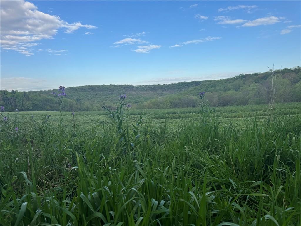 0 Grove Road Stoystown, PA 15563 - Photo 15 of 34