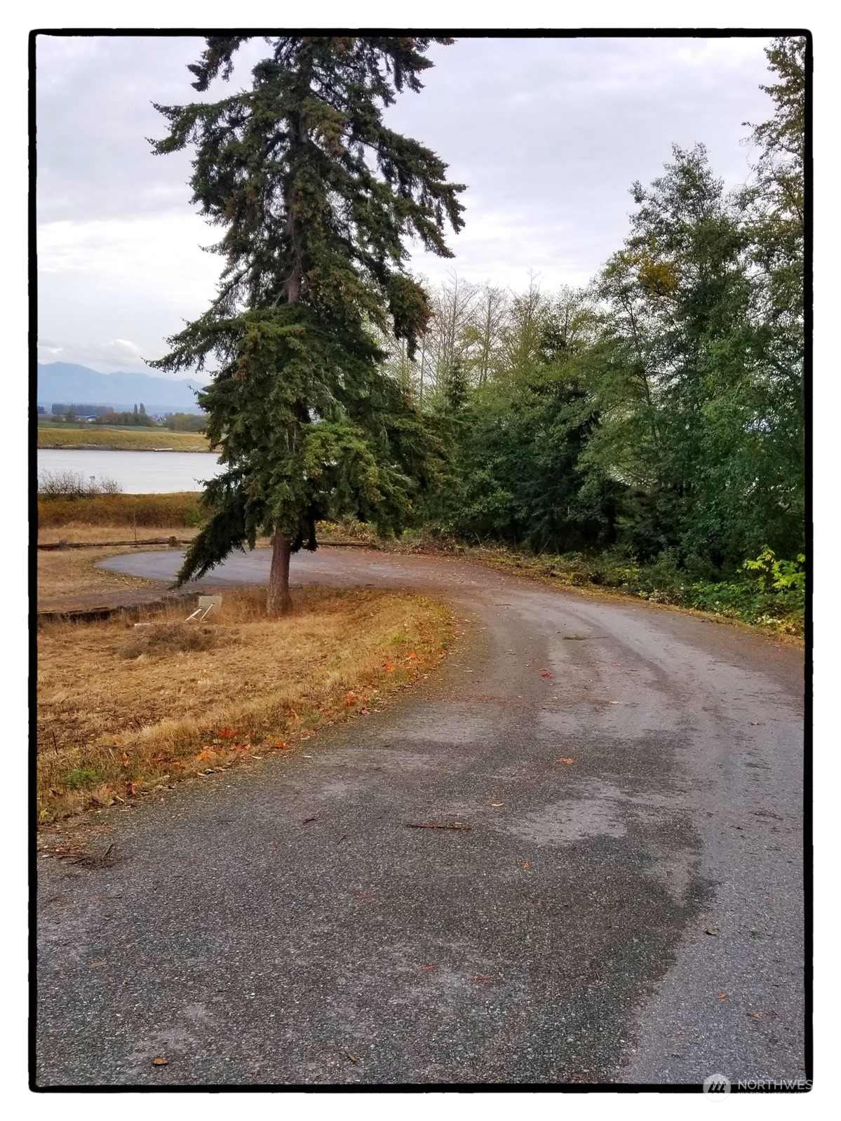 11215 Sahalie Road La Conner, WA 98257 - Photo 11 of 18 Gallery Image 11