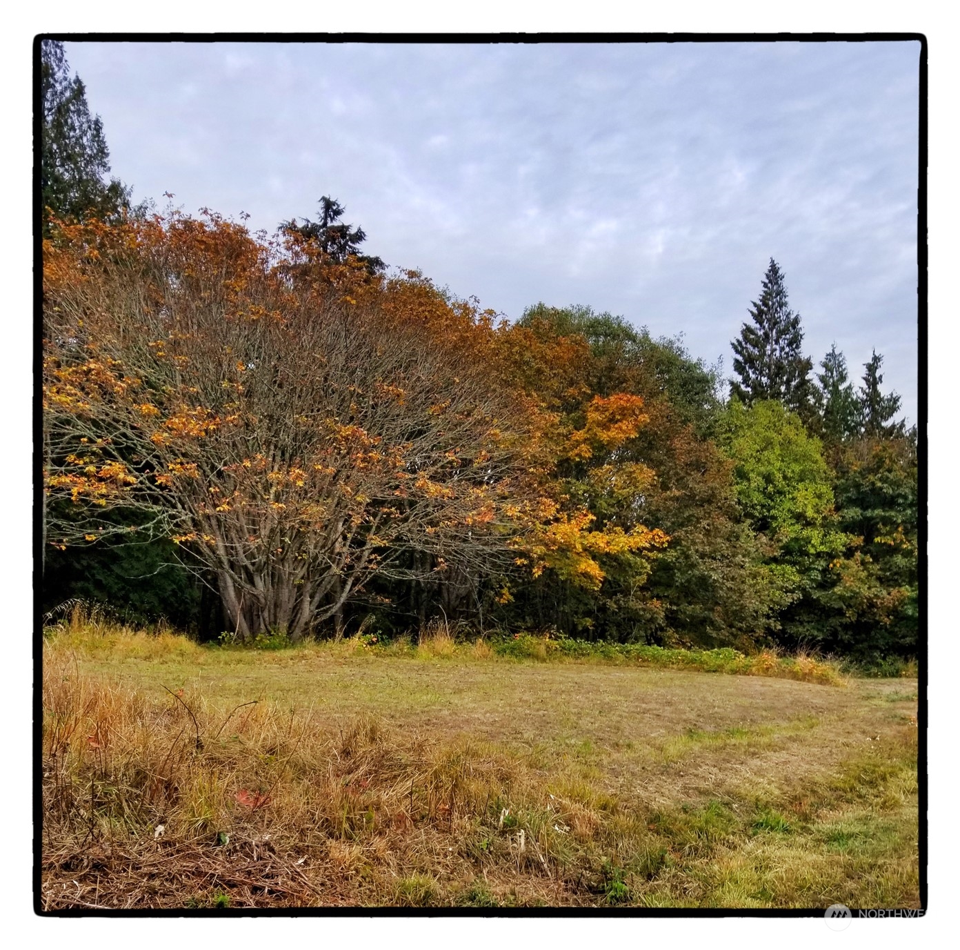 11215 Sahalie Road La Conner, WA 98257 - Photo 2 of 18 Gallery Image 2