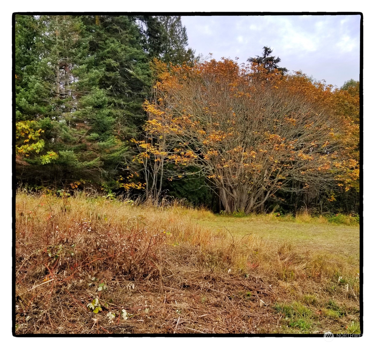 11215 Sahalie Road La Conner, WA 98257 - Photo 3 of 18 Gallery Image 3